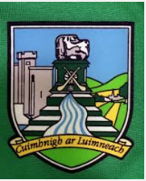 limerick_gaa_logo