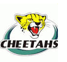 the_cheetahs_rugby_logo